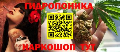мдпв Старая Купавна