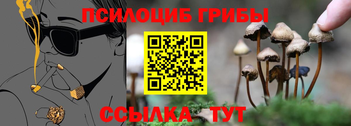 Самара  Псилоцибиновые грибы Psilocybine cubensis  дарнет шоп  Вход с VPN 